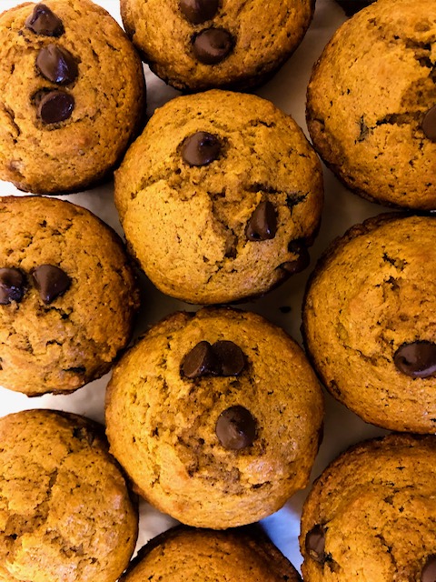 pumpkin chocolate chip muffins