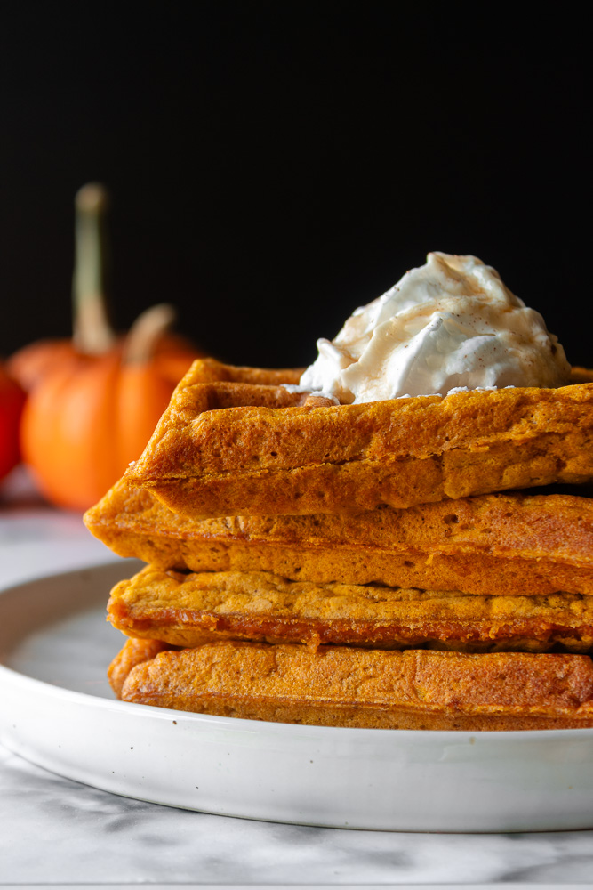 Straight on shot of pumpkin spice waffles on plate with whipped cream. Mini pumpkins in background.