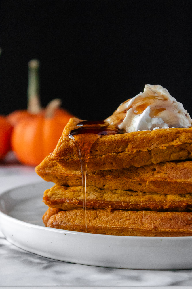 Straight on shot of pumpkin spice waffles on plate with whipped cream and maple syrup dripping. Mini pumpkins in background.