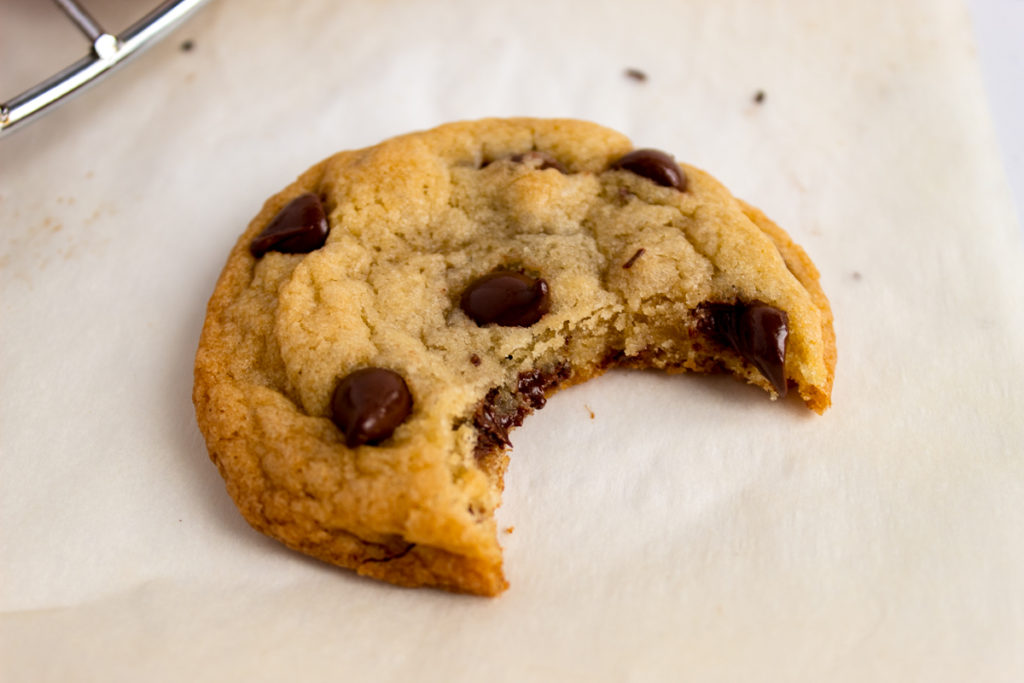 Chocolate chip cookie with a human bite.