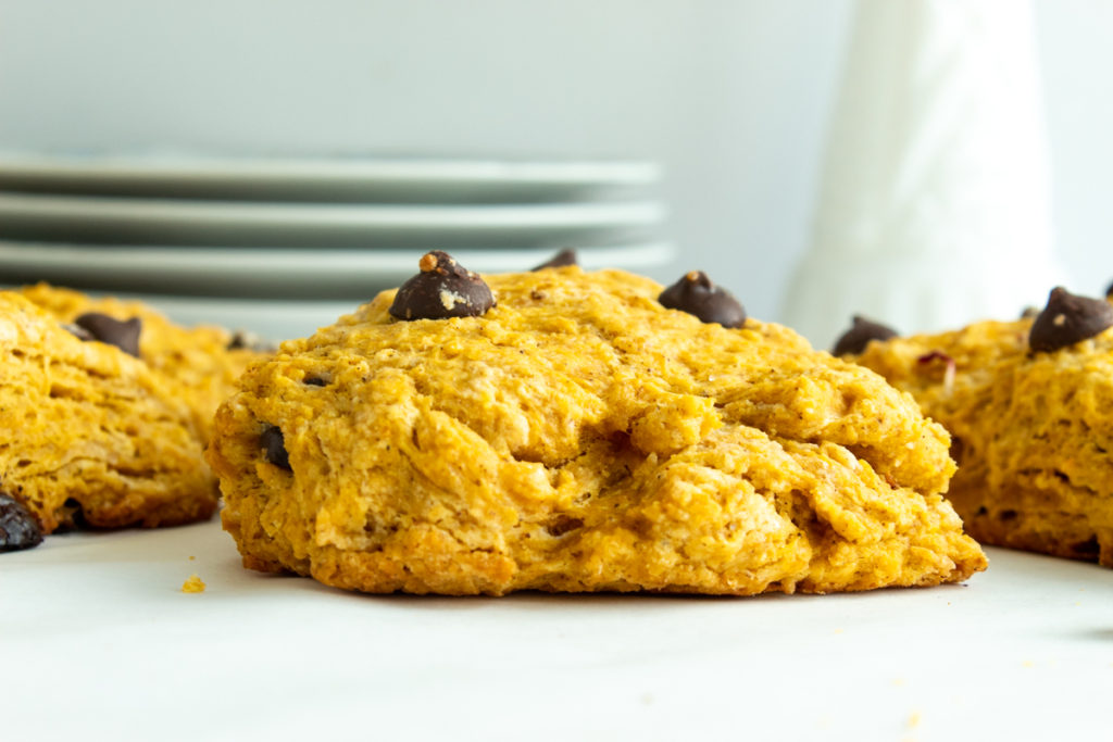 Pumpkin Chocolate chip scones straight shot with plates and vase in background