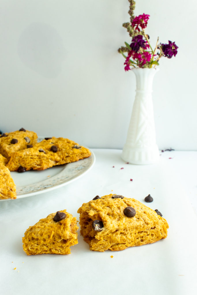 Pumpkin Chocolate chip scones.