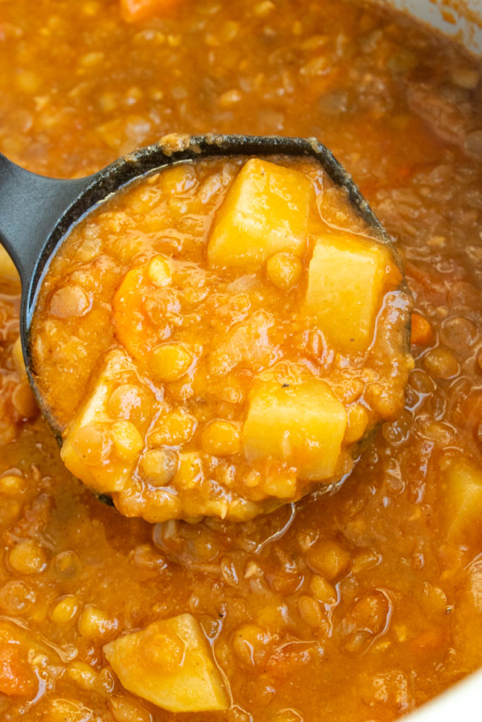 lentil stew in pressure cooker with ladle