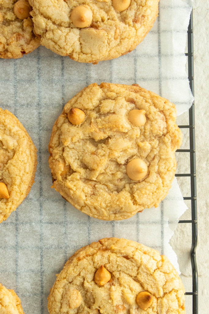 Chewy Butterscotch Cookies on parchment paper overhead shot.