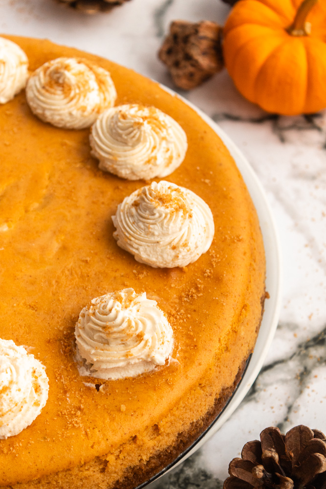 Anlged closeup of pumpkin cheesecake with whipped cream.