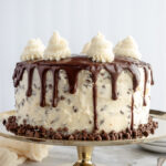 Straight shot of chocolate chip cake with chocolate ganache and vanilla buttercream swirls on a gold cake stand.