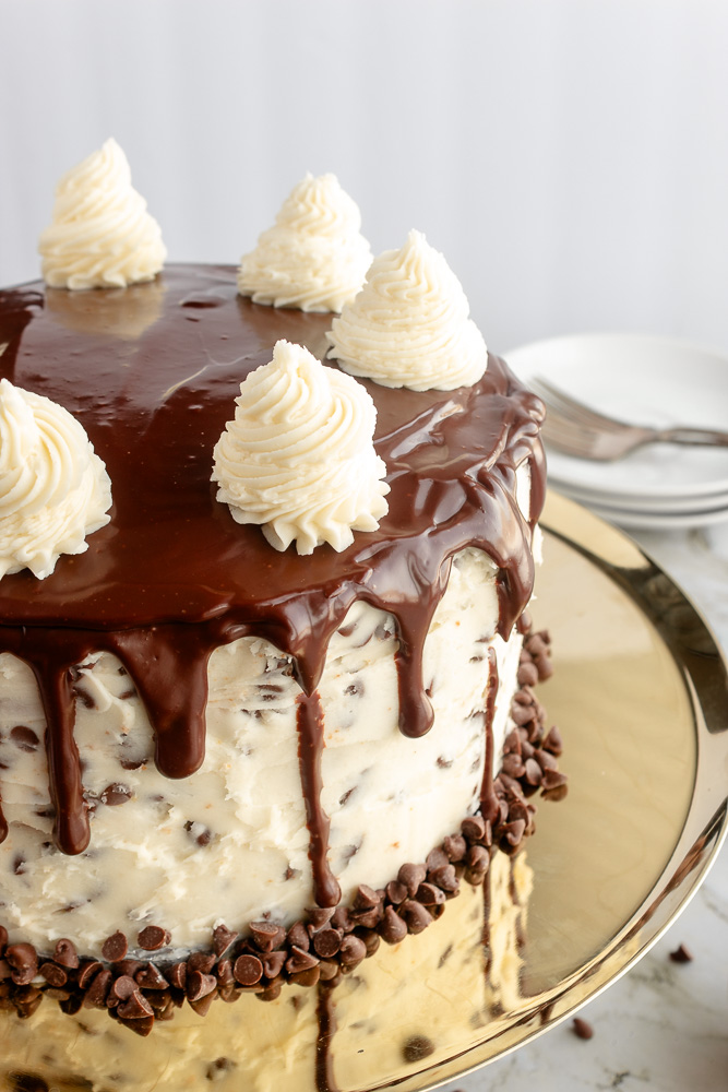 Chocolate chip layer cake angled shot on gold cake stand.